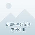 炸了神社该怎么办免费