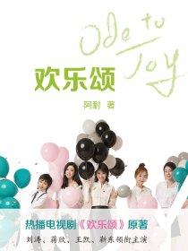 欢乐颂03